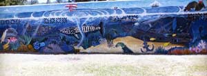 aquatica